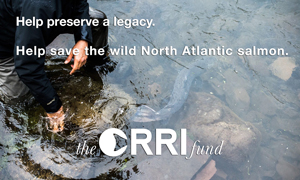 Help preserve a legacy, help save north atlantic salmon